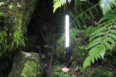 Scangrip LED Taschenlampe Line Light R